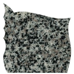 Monument din granit Leopard...